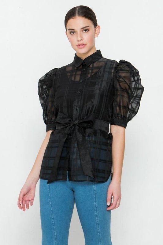 A See-thru Mini Length Organza Top