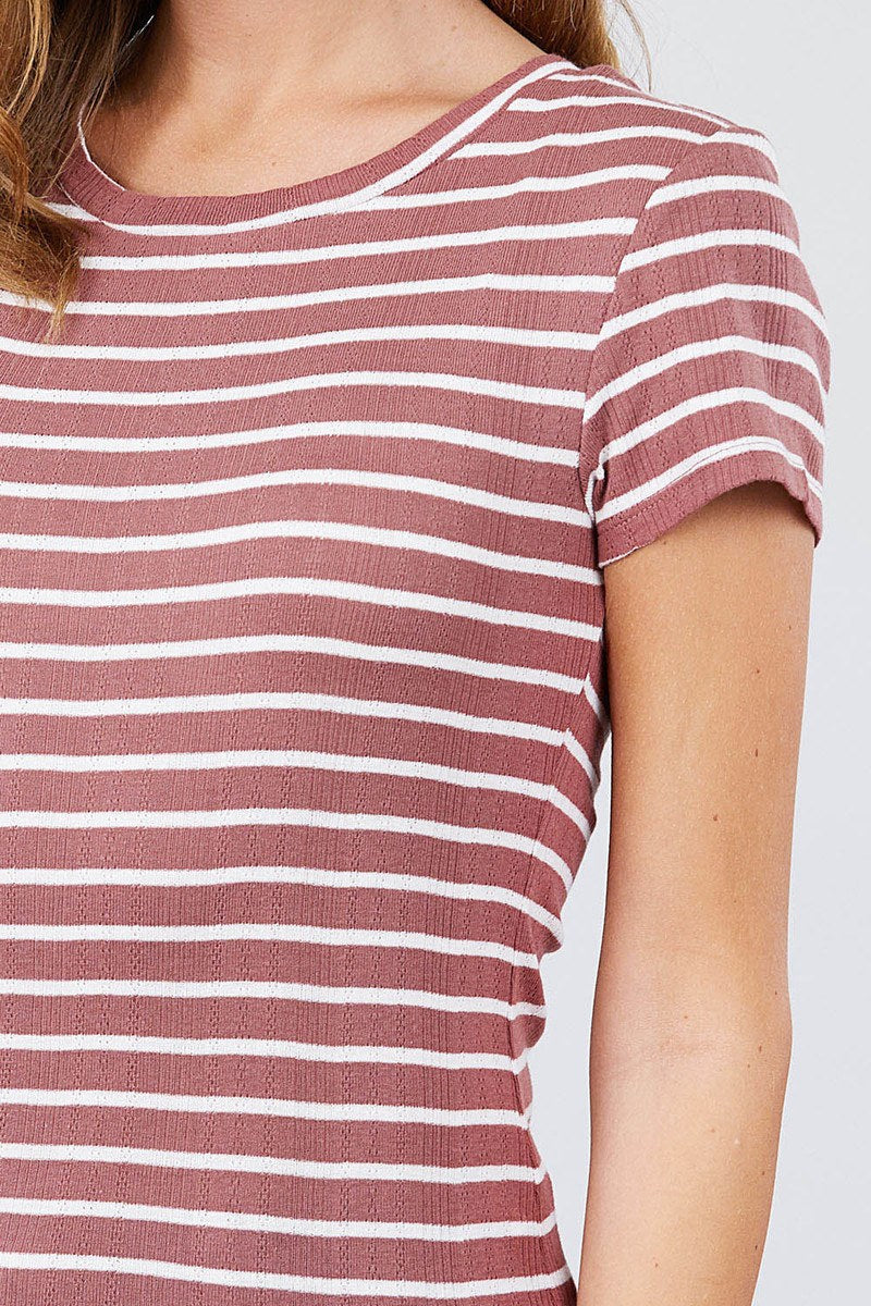 Short Sleeve Crew Neck Stripe Pointelle Knit Top