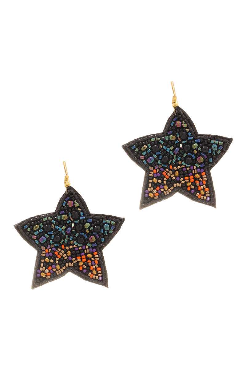 Seed Beaded Star Hook Earring