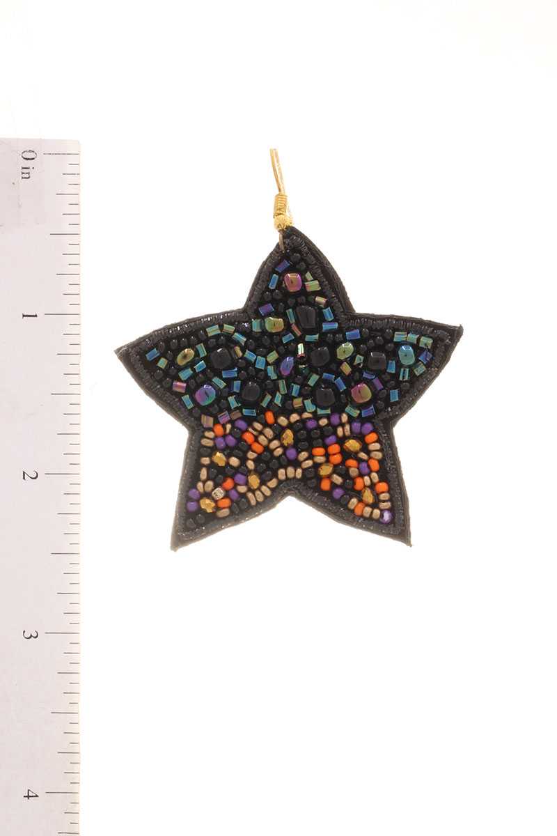 Seed Beaded Star Hook Earring