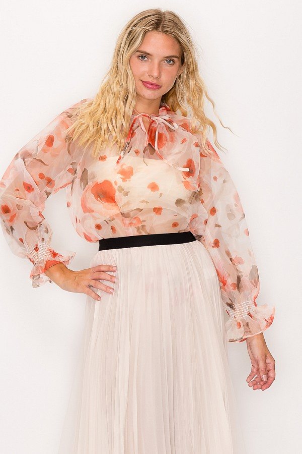 Floral Print Ruffled Organza Top