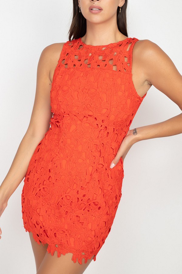 Floral Lace Bodycon Dress