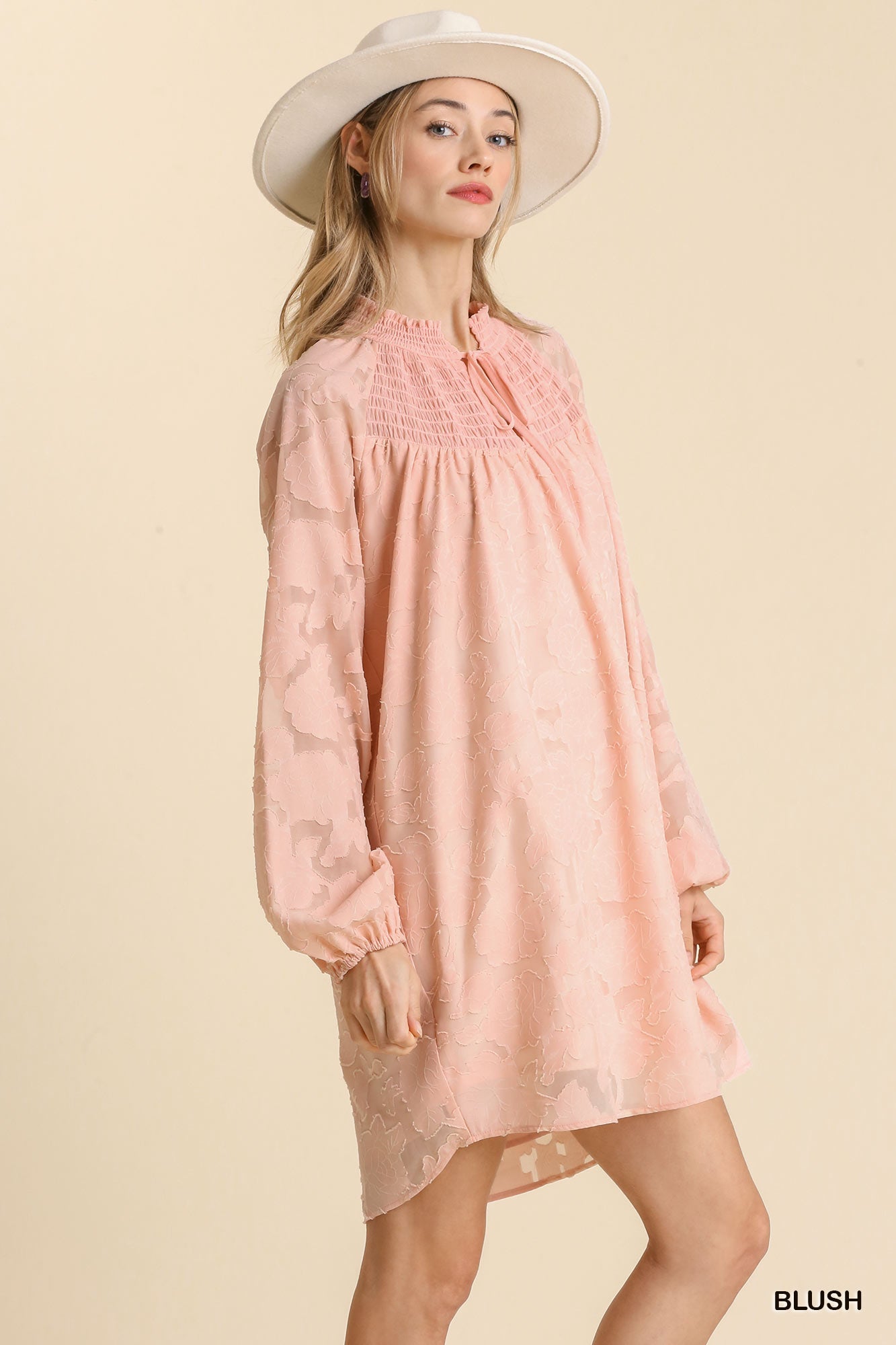 Jacquard Raglan Smocked Tie Neck Yoke Dress