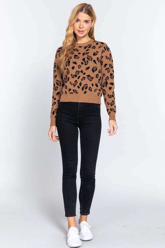 Long Slv Print Jacquard Sweater