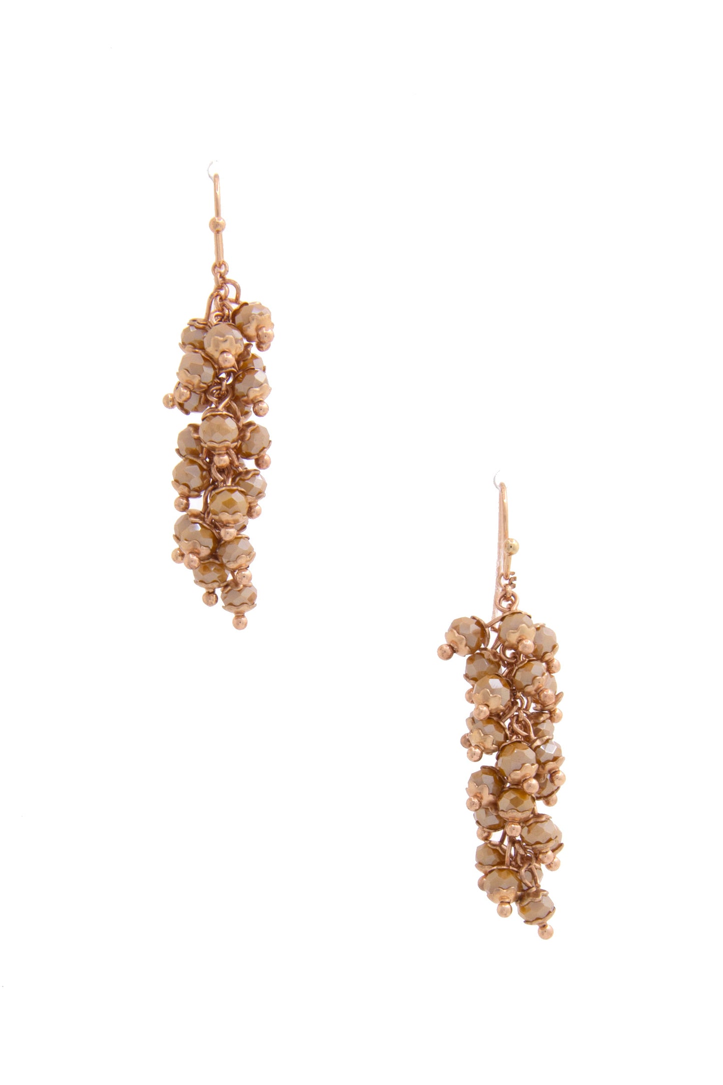 Beaded Metal Dangle Earring